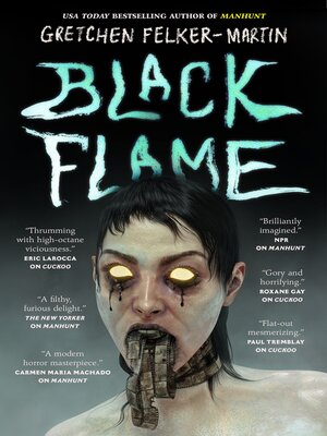cover image of Black Flame